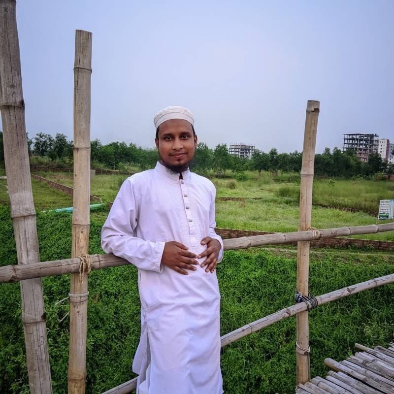 hafez muhammad, 25, Dongping