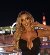 Sophia love, 33, Kahoku