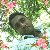 Sahidul Islam, 35, Rhein