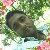 Sahidul Islam, 35, Villa Di Chiavenna