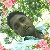 Sahidul Islam, 35, Lincoln uk
