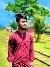 MD MOHASIN, 19, Banner Illinois