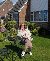 Holz, 51, Painal