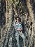 Riyad, 22, English