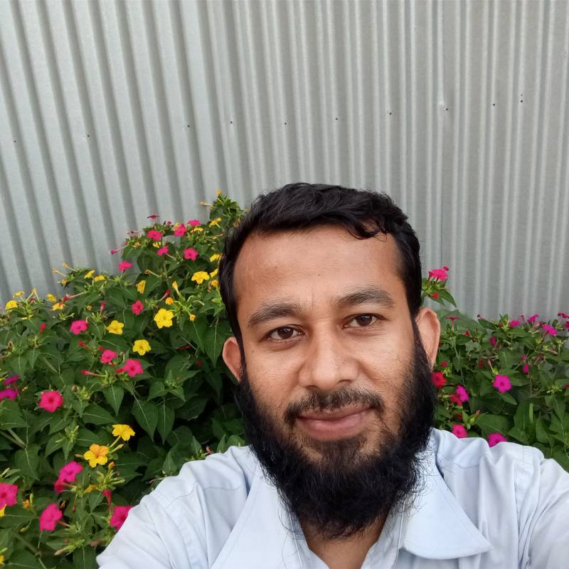 Abs molla vlog, 34, Wheeling