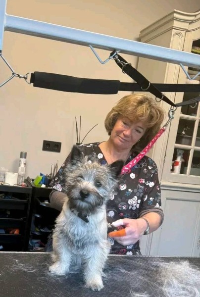 Hungatelina30384 dating