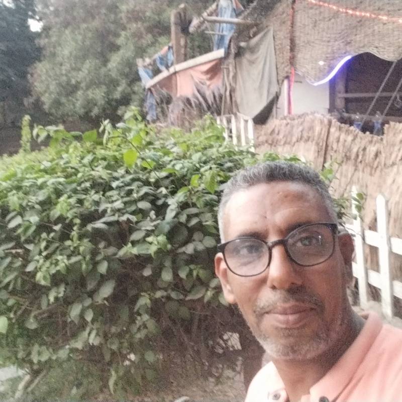 Mahmoud26710 dating